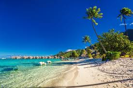 Image result for pacific islands