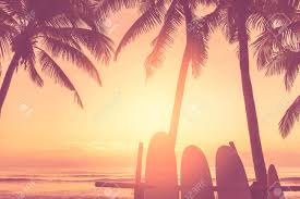 Learn more about creative fabrica here. Surfboard And Palm Tree On Tropical Sunset Beach Background Stock Photo Picture And Royalty Free Image Image 127314642