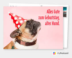 Entsprechend wird auch der kollegin häufiger mit einem vers gratuliert als dem kollegen. Alter Hund Geburtstagskarten Spruche Echte Postkarten Online Versenden Geburtstagskarte Geburtstag Gratulieren Gluckwunsche Geburtstag Lustig