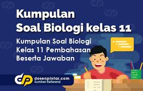 Contoh soal tematik kelas 1 guru ilmu sosial. Soal Biologi Kelas 11 Dosenpintar Com
