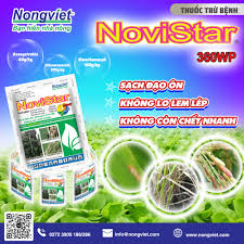 Novistar 360WP