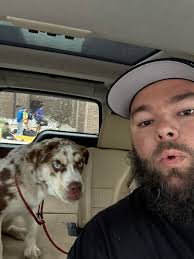 Lost pet found and returned home safely