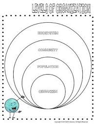 Ecological Levels Of Organization Graphic Organizer By Ezpz Science Graphic Organizers Graphic Organizer Template Interactive Science Notebook