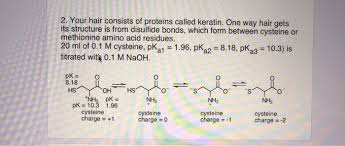 ドージンニュース Vol.177 Review 2 ｜ 同仁化学研究所