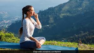 We did not find results for: How To Do Pranayam Yoga Breathing Exercises You Must Include In Your Routine Ndtv Food