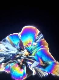 Image result for Polarized Microscopy