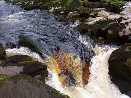 This spherical panorama was stitched from 9 frames from bolton abbey a pleasant riverside walk leads upstream to the strid, a notorious stretch of water. The Strid By Hilda Whitworth At Picturesofengland Com