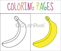 It is roasted, added to baked goods, desserts and juices. Coloring Book Page Banana Sketch And Color Version Coloring For Stock Vector Crushpixel
