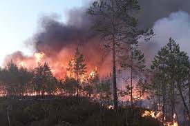 Permanecen activos cinco incendios forestales de los 13 provocados hoy en cantabria. Incendios Alrededor Del Mundo No Solo Arde El Oeste De Estados Unidos The New York Times