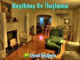 Besiktas Ev Ilaclama Evler