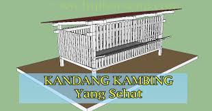 Desain kandang dibuat panggung dengan kolong setinggi 1 meter yang diberi terpal agar. Cara Membuat Kandang Kambing Sederhana Dan Sehat Petani Top