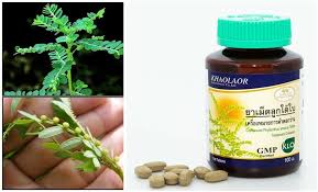 Image result for Phyllanthus parvus
