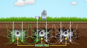 His septic field went bad and he's having to install a new field. Renew Drainfield Restoration Youtube