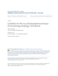 They call me the wild rose but my name was elisa day why they call me it i do not know for my name was elisa day. Pdf Guidelines For The Use And Interpretation Of Assays For Monitoring Autophagy 3rd Edition