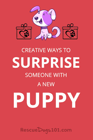 A puppy pops its head out. Creative Ways To Surprise Someone With A New Puppy As A Gift Puppy Surprise Adoptdo Dogs And Kids Surprise Kids With Puppy Ways To Surprise Kids With Puppy