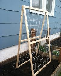 Here is a look at how cucumbers do when grown vertically. 25 Functional Diy Cucumber Trellis Ideas Balcony Garden Web