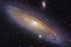 Andromeda Trevor O Donoghue