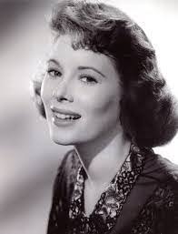 John Sajko's Instagram, Twitter & Facebook