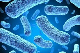 Un estudio del 12 de Octubre aporta nuevas claves para prevenir las  infecciones hospitalarias bacterianas | @diariofarma