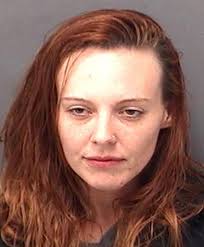 Domestic dispute leads to drug arrests