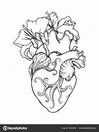 Anatomical Heart Coloring Pages Inspirational Stylized Anatomical Human Heart Drawing Heart Wi Anatomical Heart Tattoo Heart Coloring Pages Human Heart Drawing