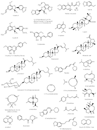 Image result for Piper capense