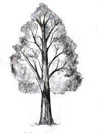 Pin On Art Drawing