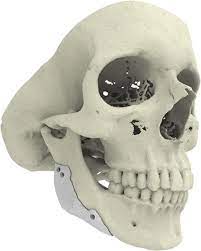 Xilloc Ct Bone Real Bone From The 3d Printer 3dprinting Design 3d Printing 3d Printer