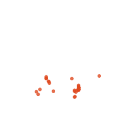 Image result for Orthopichonia seretii