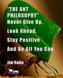 The Ant Philosophy Never Give Up Look Ahead Stay Positive And Do All You Can Jim Rohn Ant Inspirational Quotes Motivation Positivity Motivational Quotes