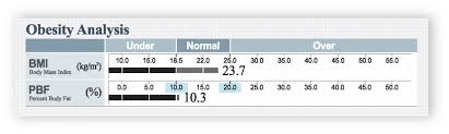 Result Sheet Interpretation Inbody Uk What Your Inbody