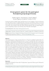 Image result for Gelrebia glandulosopedicellata