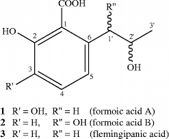 Image result for Clerodendrum formicarum