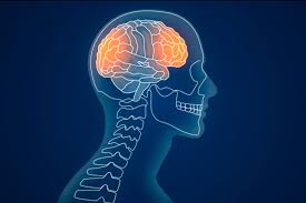 It's not true that a loss of consciousness always. How Concussions Impact Brain Health