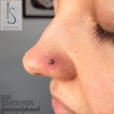 Fresh Nose Piercing Pierced By Piercingsbyhannah Studio Origin Arts Uk Jewellery Industrial Strength Uk Professional Body Photo And Video Nose Piercing