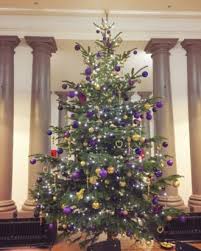 We've gone down the metallic route, but if that's too glitzy for you. Corporate Christmas Trees Office Xmas Trees Delivered