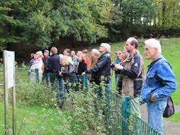 Hiebei handelt es sich um gefundene gneise und rote granite. Fuhrung Bochum Wiemelhausen Geologischer Garten 26 10 2014 Bochumer Botanischer Verein E V