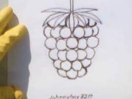 How To Draw A Blackberry / Raspberry Sign For Selling Pencil Marker Easy  Sketch For Beginners Simple - Youtube