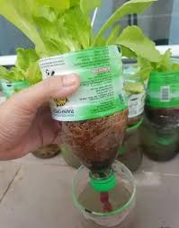 Salah satu cara yang bisa dilakukan untuk mempermudah penanaman sayuran menggunakan sistem hidroponik tersebut adalah dengan memulai bertanam menggunakan sistem hidroponik yang. Cara Tanam Sayur Paling Mudah Guna Teknik 3t Tanam Tinggal Tuai Tak Perlu Siram Pun Vanilla Kismis