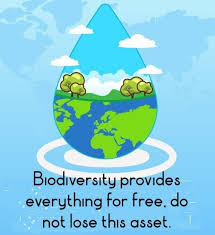World environment day 2021 will see the launch of the un decade on ecosystem restoration. World Environment Day 2020 Theme World Environment Day Environment Day Biodiversity