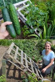 The tutorial is detailed which makes it easier for those who after the frame is completed, a wire is used to create the grid pattern to support the cucumbers as they grow. 15 Easy Diy Cucumber Trellis Ideas A Piece Of Rainbow