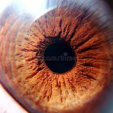 Human Eye Eye Macro Shot Ad Eye Human Eye Shot Macro Ad Human Eye Macro Shots Macro