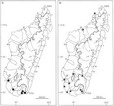 Image result for Seddera