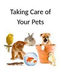 Taking Care Of Pets Story Matching Cards And Worksheet Pets Animal Stories Matching Cards