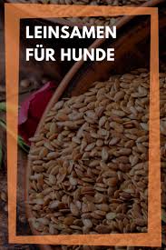 Leinsamen Fur Hunde Richtig Futtern Bei Verstopfung Durchfall Und Darmsanierung In 2020 Leinsamen Hunde Ernahrung Hundeernahrung