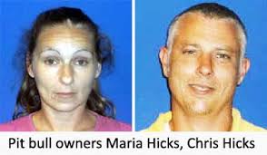 Four legged friends (and enemies): North Carolina: Refusing to take  responsibility for his pit bull attacking a child, Chris Hicks threatens  Animal Control officer during hearing to declare pit bull dangerous