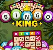Bingo Games Online - Play Now for Free |