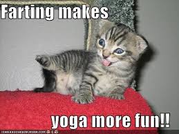 Image result for funny sayings about yoga