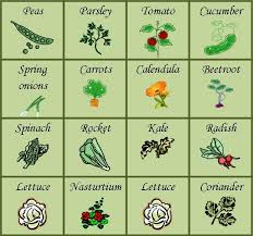 How to plan a vegetable garden: Planning A Patchwork Plot The Garden Deli