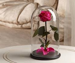They come in a variety of beautiful arrangements, and in nearly 30 different colors. Pin De Gol Setan Online Florist Ú¯ Em Relationship Goals Arranjos De Flores Flores Ornamentais Cupulas De Vidro